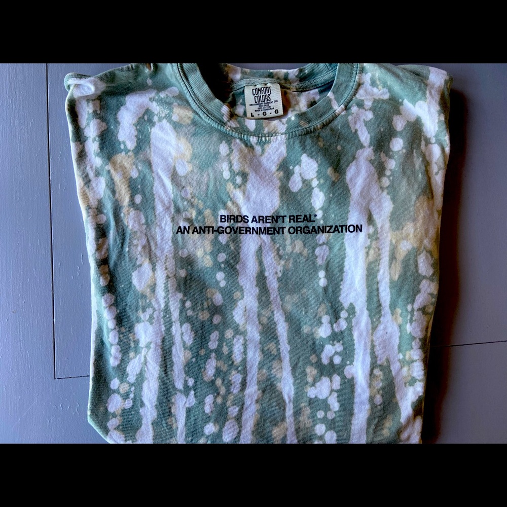 Birds Arent Real Acid Wash Comfort Colors Tee